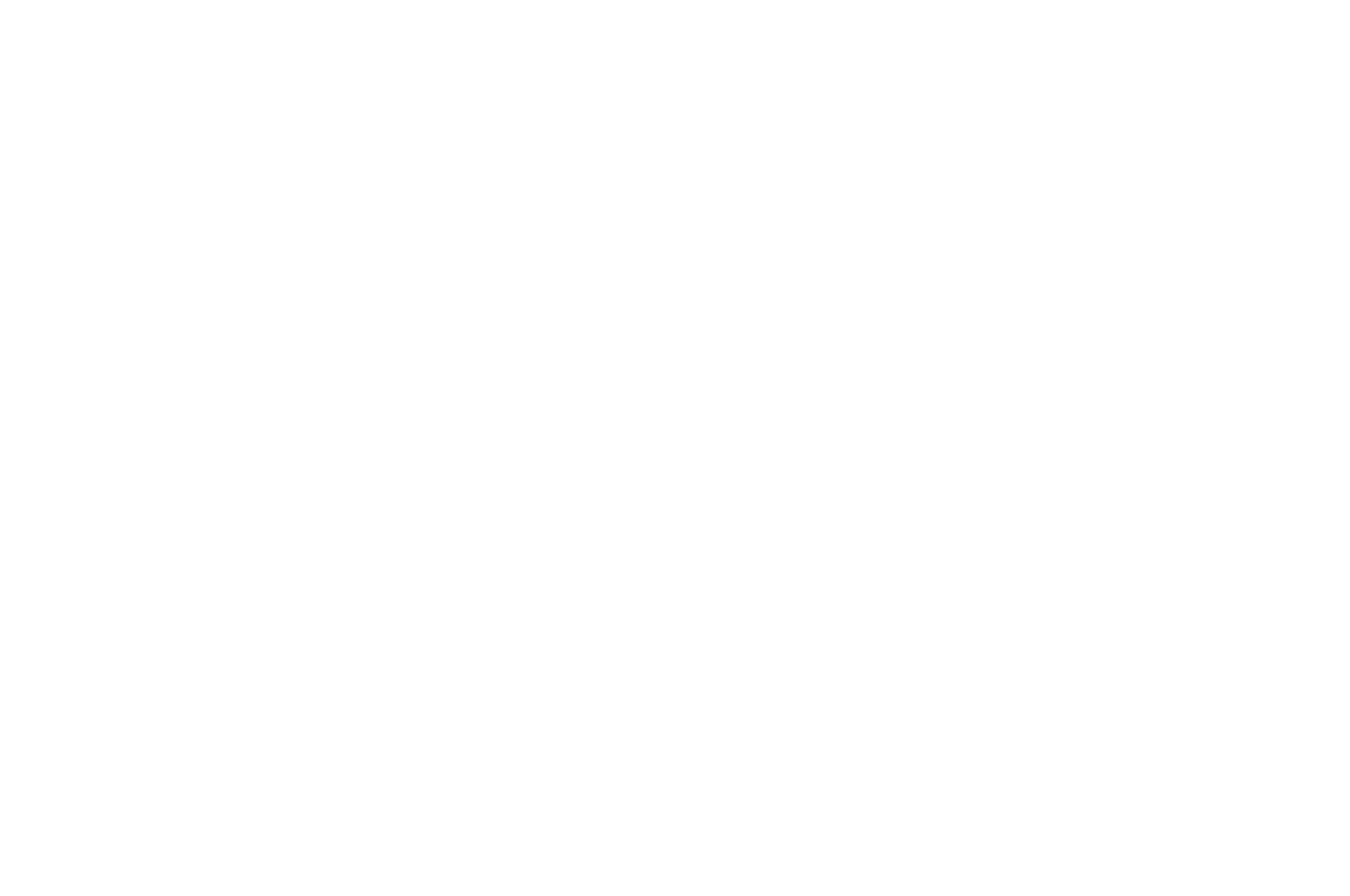 Montreal International Film Festival Selection