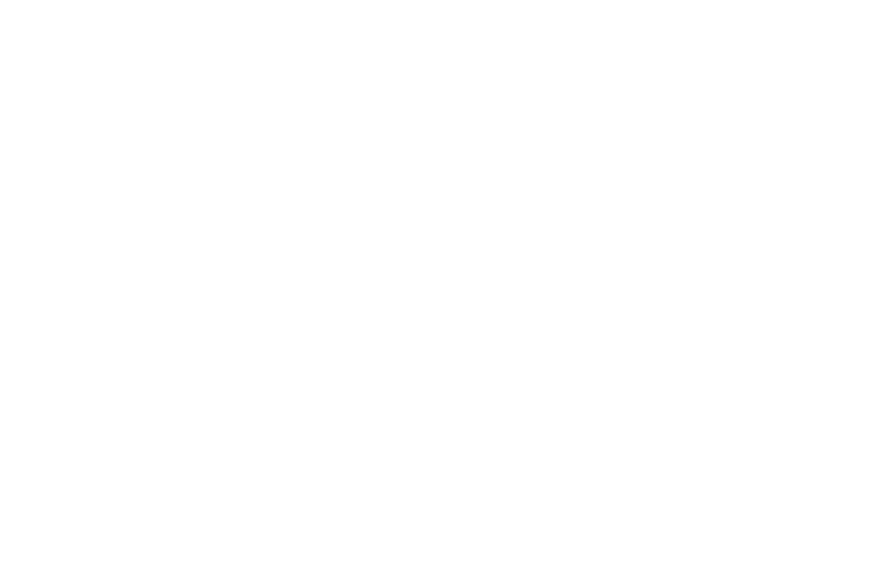 Sunshine Coast Film Festival Award