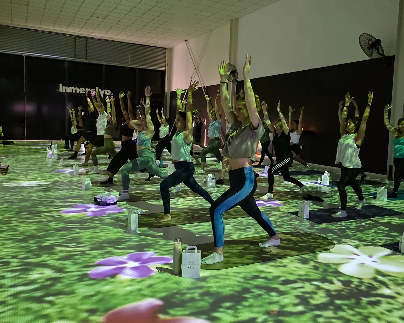 Yoga Inmersivo, Elemento Tierra