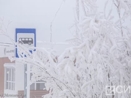 Совершившие кражу из теплой остановки в Якутске объявлены в розыск