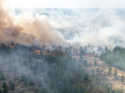 В Нерюнгри было выявлено превышение концентрации химических веществ в воздухе из-за лесных пожаров