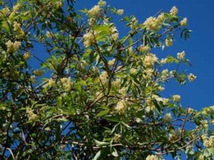 Прогноз погоды в Якутске на 21 июня