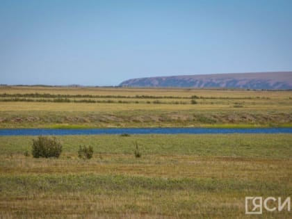 Роспотребнадзор дал советы по защите от клещей