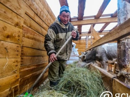 Сельским пенсионерам положена 25% надбавка в 2024 году