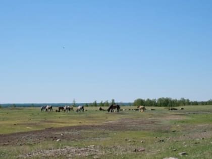 Низкие температуры в Якутске: последствия для жителей города
