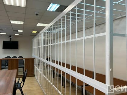 Якутский суд привлек к административной ответсвенности 26 участников несанкционированного митинга