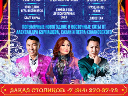 Цирк: Новогодние вечерние представления «Восточный микс»