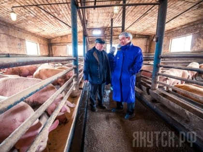 Власти Якутии хотят поставлять свинину в Китай – почему это вызывает скепсис?