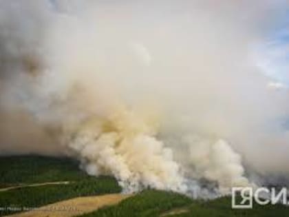 Глава Якутии: Пожары приходится останавливать ручным методом — нет воды