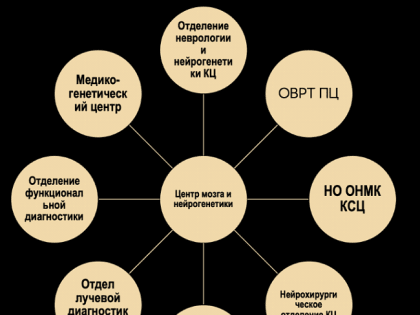 На шаг впереди: врачи Национального центра медицины изучают мозг человека