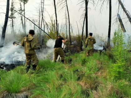 В Якутии ожидают сложный пожароопасный сезон