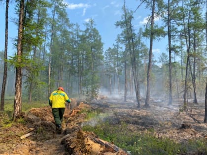 Дым идет от лесных пожаров со стороны Олекминского района