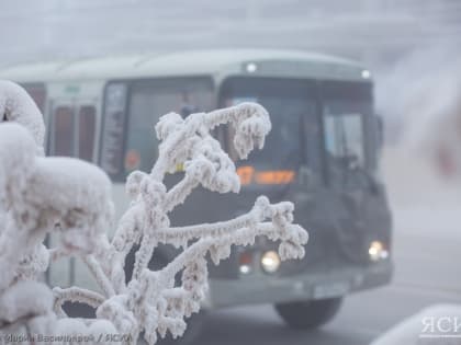 Городская дорожно-транспортная служба опровергла изменение автобусных маршрутов