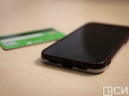 Крупное мошенничество, работа подпольного клуба, пьяное вождение: обзор происшествий в Якутии