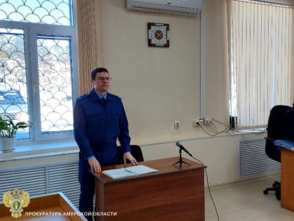 В Приамурье осудили водителя из Якутии за гибель пешехода