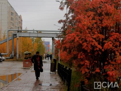 Погода в столице: без осадков в ближайшие дни