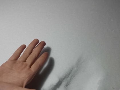 Замечена стая волков: Следы хищников увидели возле школы