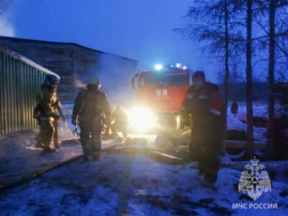 В Нерюнгринском районе в результате пожаров пострадали кафе, магазин и автомобиль