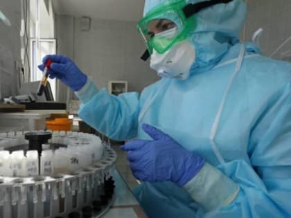 Биопрепараты якутского производства направили бойцам в зону СВО