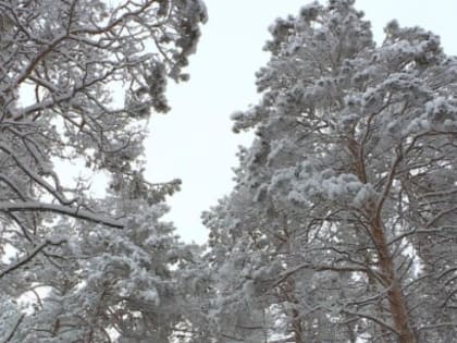 Прогноз погоды в Якутске на 26 февраля