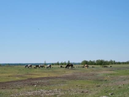 Прогноз погоды в Якутске на 12 июня