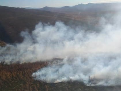 Как защититься от смога