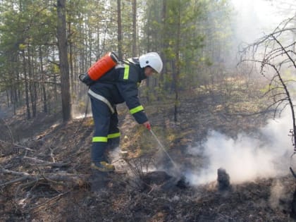 10 июля: идет работа по тушению лесного пожара