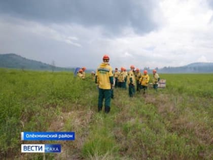 В Якутии за сутки ликвидировано 34 природных пожара