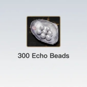 300 Echo Beads
