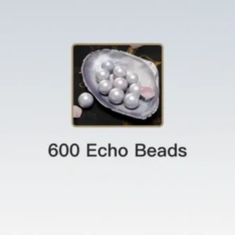 600 Echo Beads