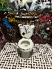 ee9e0154-3048-41f7-816b-054aa3543c4d