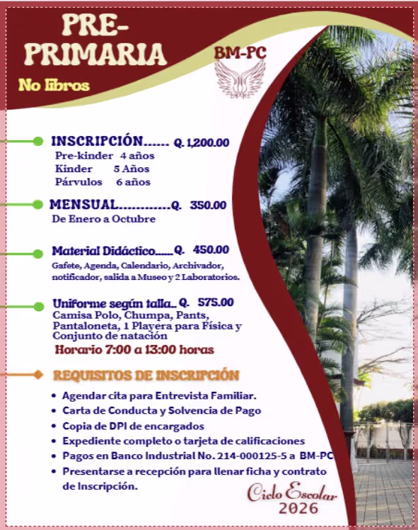 Pre-Primaria Colegio BM-PC - Educación temprana de calidad