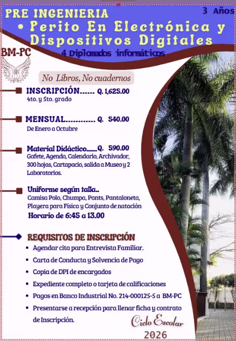 Pre-Primaria Colegio BM-PC - Educación temprana de calidad