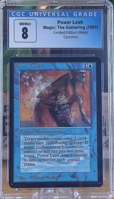 Power Leak [ CGC 8 ]