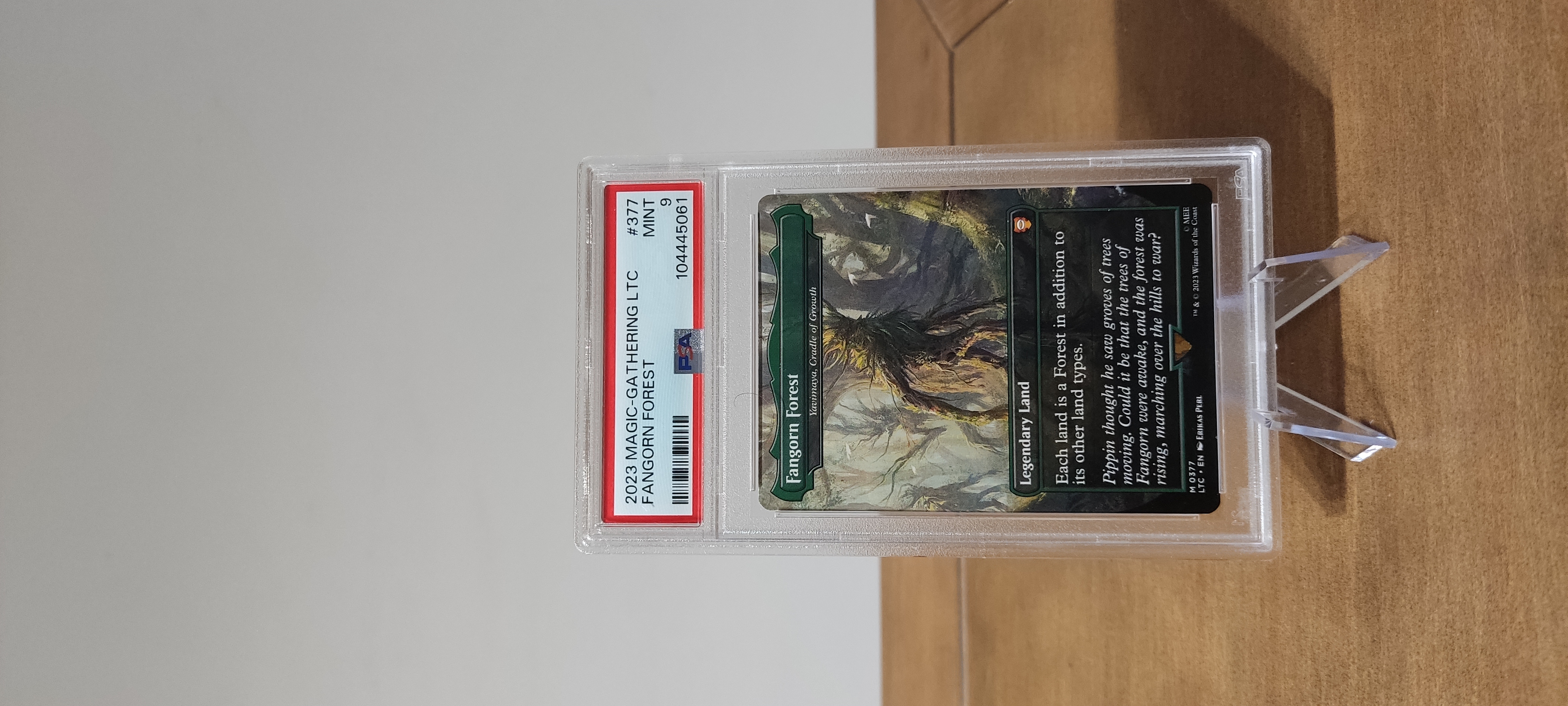 Yavimaya, la Cuna del Crecimiento (V.1) [ PSA 9 ]