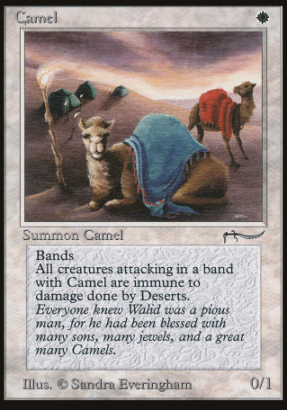 Camel