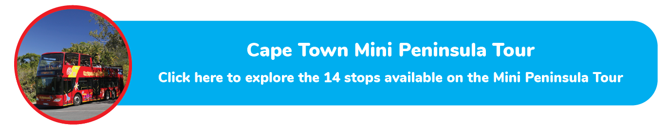 Cape Town Mini Peninsula Tour