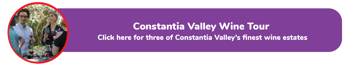 Constantia Wine Valley Bus