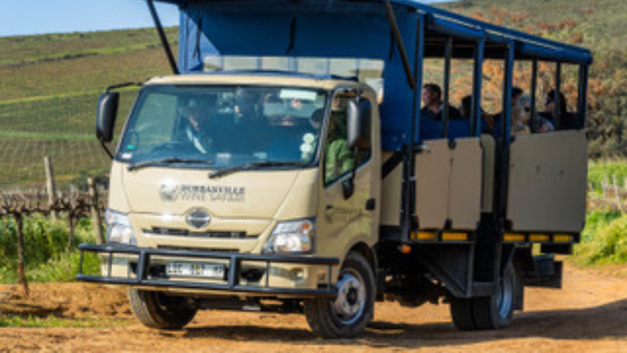 Durbanville Wine Safar