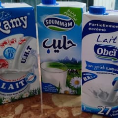 Categorie LAIT
