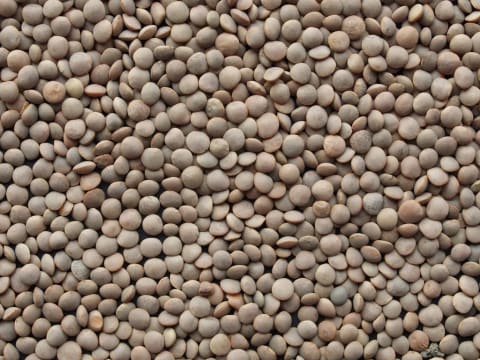 Produit LENTILLE