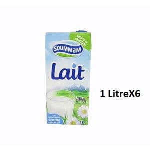 SOUMMAM LAIT 1L