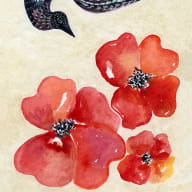 Joni M Russell