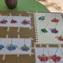 Purple Jelly 2-517 process image 1 by Dana Wolf