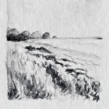 Seascape detail image 1 by Nina