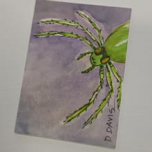 "I Spider" detail image 1 by D J Davis