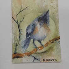 "Tweet Tweet" detail image 1 by D J Davis