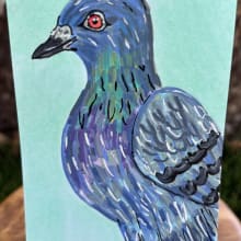 Pigeon detail image 1 by Stacy Lee