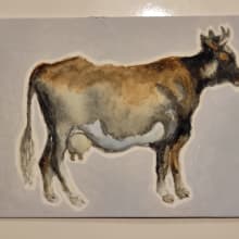 Cow detail image 2 by D J Davis