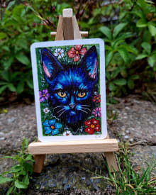Black cat
